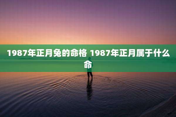 1987年正月兔的命格 1987年正月属于什么命