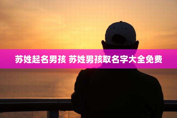 苏姓起名男孩 苏姓男孩取名字大全免费