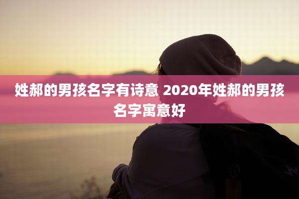 姓郝的男孩名字有诗意 2020年姓郝的男孩名字寓意好