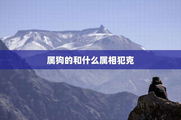 属狗的和什么属相犯克