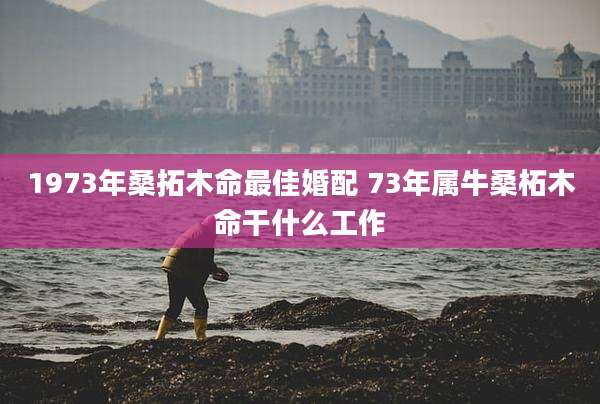 1973年桑拓木命最佳婚配 73年属牛桑柘木命干什么工作