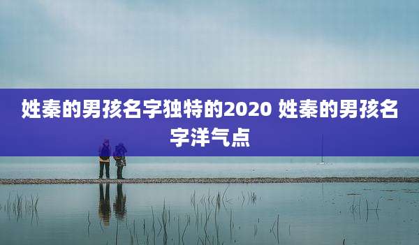姓秦的男孩名字独特的2020 姓秦的男孩名字洋气点