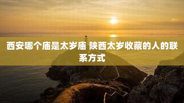 西安哪个庙是太岁庙 陕西太岁收藏的人的联系方式