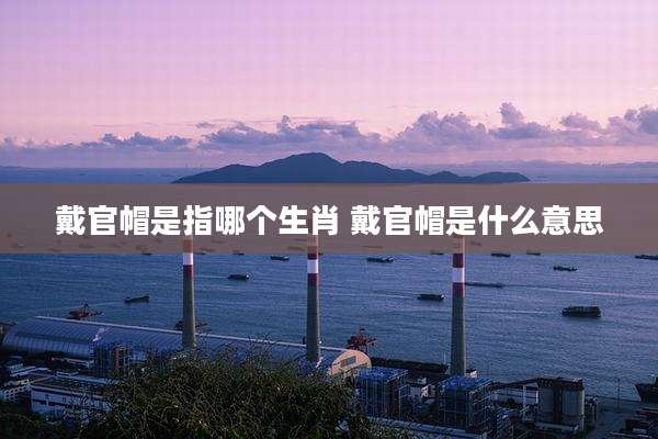 戴官帽是指哪个生肖 戴官帽是什么意思