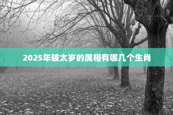 2025年破太岁的属相有哪几个生肖