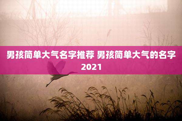 男孩简单大气名字推荐 男孩简单大气的名字2021