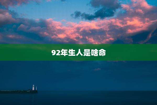 92年生人是啥命