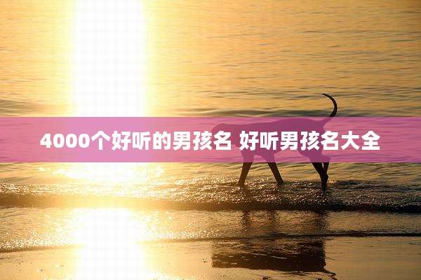 4000个好听的男孩名 好听男孩名大全