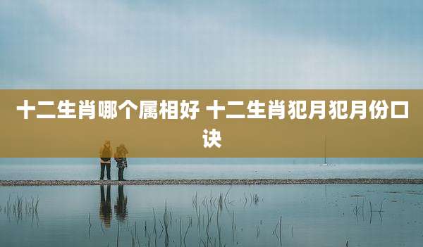十二生肖哪个属相好 十二生肖犯月犯月份口诀
