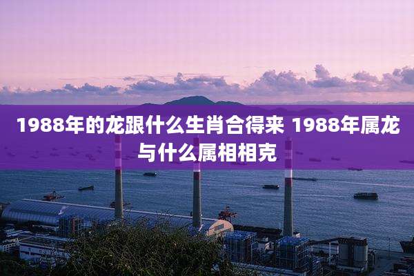 1988年的龙跟什么生肖合得来 1988年属龙与什么属相相克
