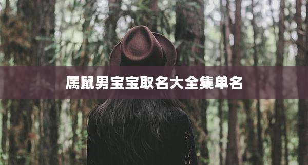 属鼠男宝宝取名大全集单名
