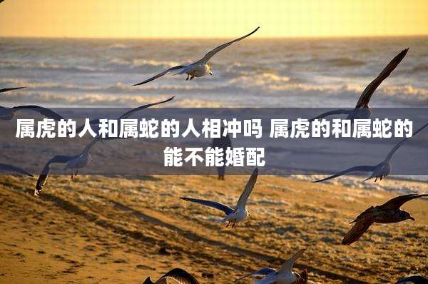 属虎的人和属蛇的人相冲吗 属虎的和属蛇的能不能婚配