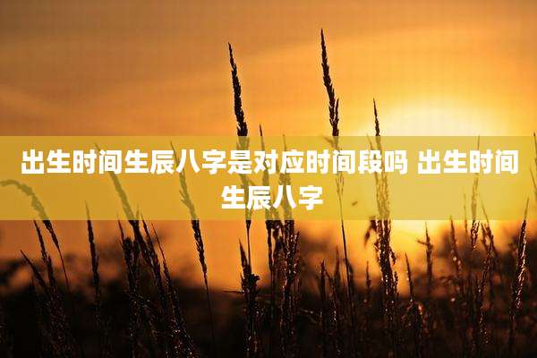出生时间生辰八字是对应时间段吗 出生时间 生辰八字