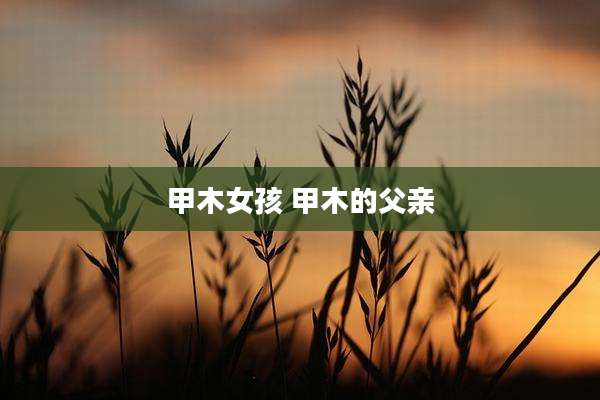 甲木女孩 甲木的父亲