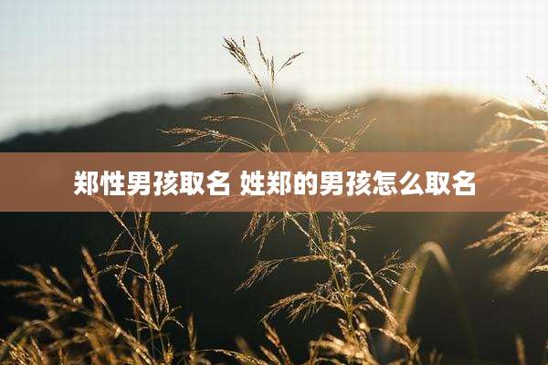 郑性男孩取名 姓郑的男孩怎么取名
