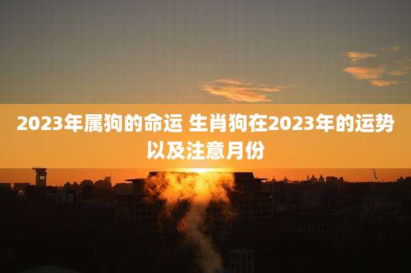 2023年属狗的命运 生肖狗在2023年的运势以及注意月份