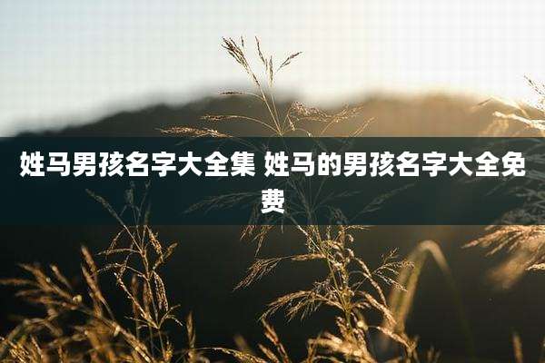 姓马男孩名字大全集 姓马的男孩名字大全免费