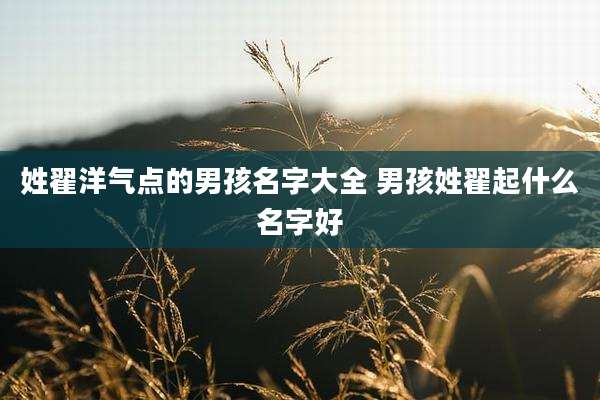 姓翟洋气点的男孩名字大全 男孩姓翟起什么名字好
