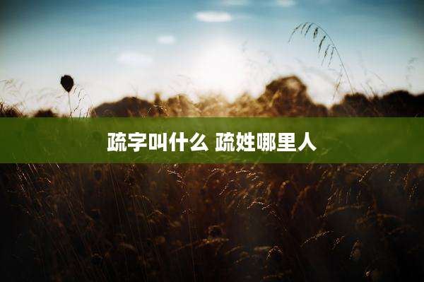 疏字叫什么 疏姓哪里人