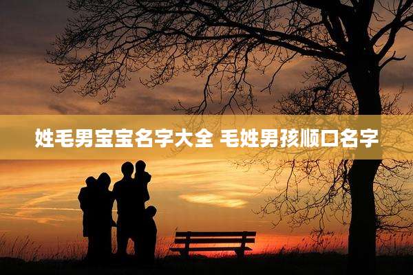 姓毛男宝宝名字大全 毛姓男孩顺口名字