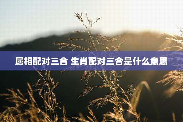 属相配对三合 生肖配对三合是什么意思