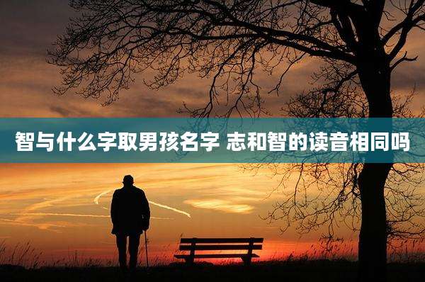 智与什么字取男孩名字 志和智的读音相同吗