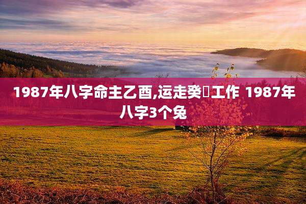 1987年八字命主乙酉,运走癸邜工作 1987年八字3个兔
