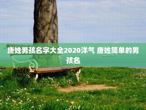 唐姓男孩名字大全2020洋气 唐姓简单的男孩名
