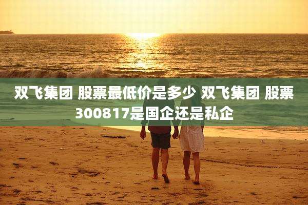 双飞集团 股票最低价是多少 双飞集团 股票300817是国企还是私企
