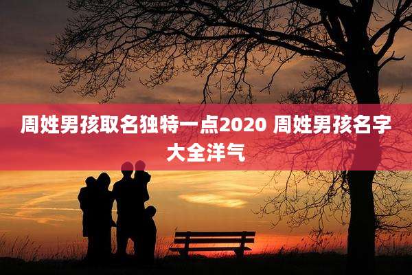 周姓男孩取名独特一点2020 周姓男孩名字大全洋气