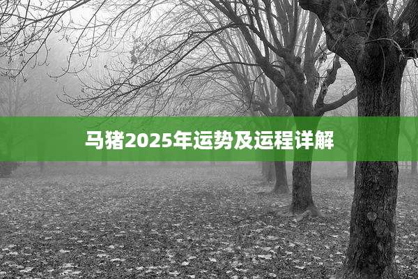 马猪2025年运势及运程详解
