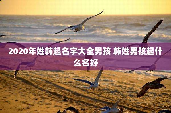 2020年姓韩起名字大全男孩 韩姓男孩起什么名好