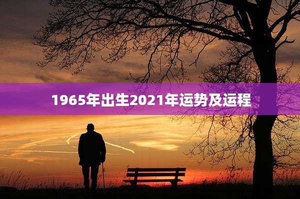 1965年出生2021年运势及运程