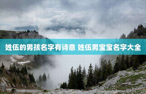 姓伍的男孩名字有诗意 姓伍男宝宝名字大全