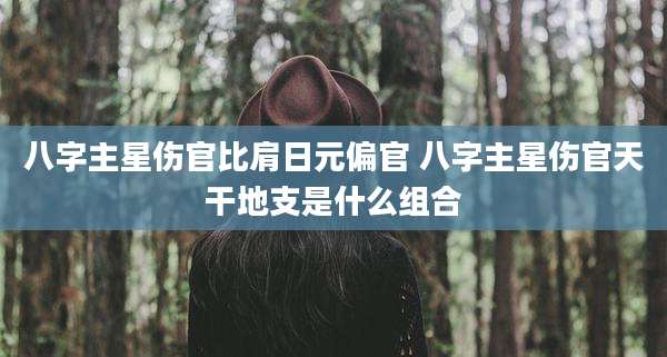 八字主星伤官比肩日元偏官 八字主星伤官天干地支是什么组合