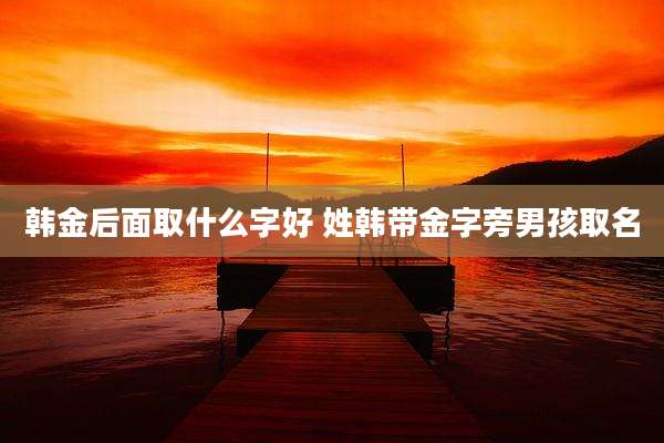 韩金后面取什么字好 姓韩带金字旁男孩取名