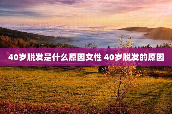 40岁脱发是什么原因女性 40岁脱发的原因
