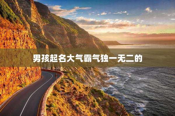 男孩起名大气霸气独一无二的