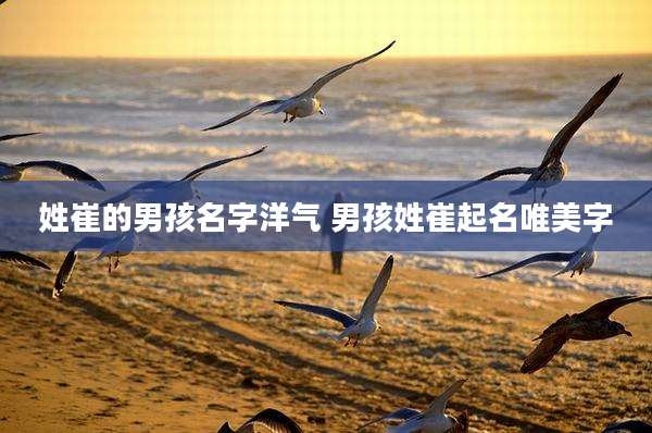 姓崔的男孩名字洋气 男孩姓崔起名唯美字