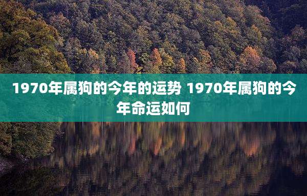 1970年属狗的今年的运势 1970年属狗的今年命运如何