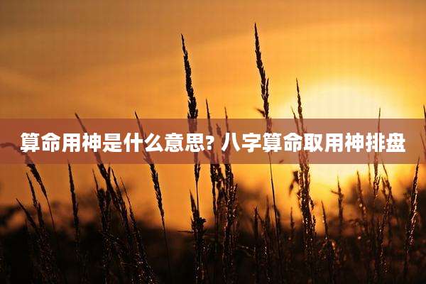 算命用神是什么意思? 八字算命取用神排盘