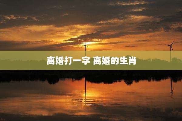 离婚打一字 离婚的生肖