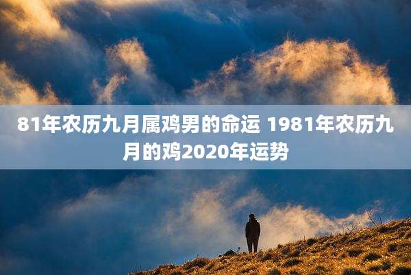 81年农历九月属鸡男的命运 1981年农历九月的鸡2020年运势