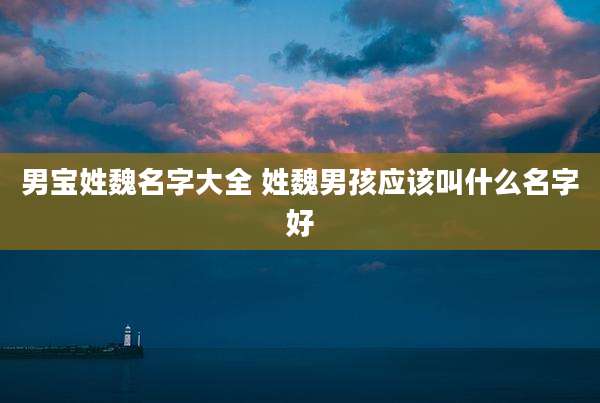 男宝姓魏名字大全 姓魏男孩应该叫什么名字好