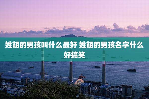 姓胡的男孩叫什么最好 姓胡的男孩名字什么好搞笑