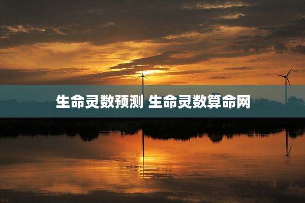 生命灵数预测 生命灵数算命网
