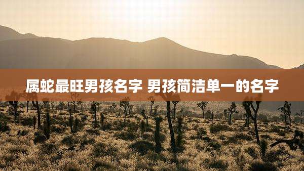 属蛇最旺男孩名字 男孩简洁单一的名字