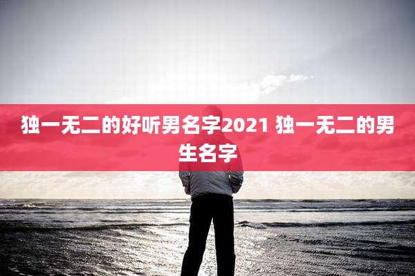 独一无二的好听男名字2021 独一无二的男生名字