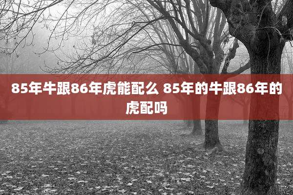 85年牛跟86年虎能配么 85年的牛跟86年的虎配吗