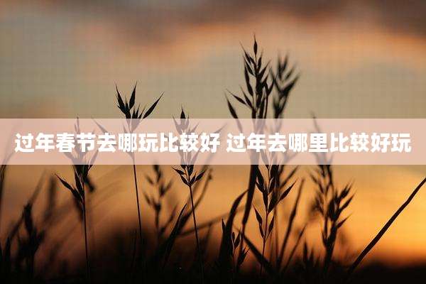 过年春节去哪玩比较好 过年去哪里比较好玩